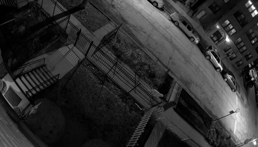 Reolink Camera Two_01_Reolink Home Hub One_20260318200200.jpg